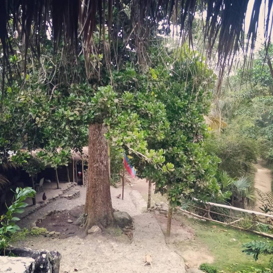 Отель La Cima Tayrona Санта-Марта Экстерьер фото