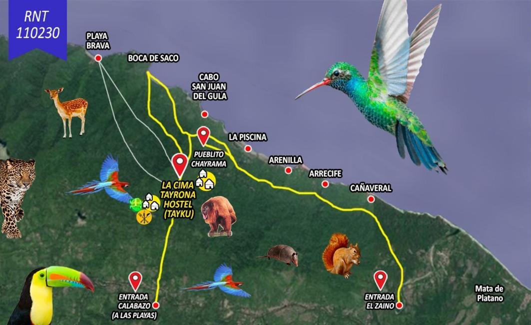 Отель La Cima Tayrona Санта-Марта Экстерьер фото