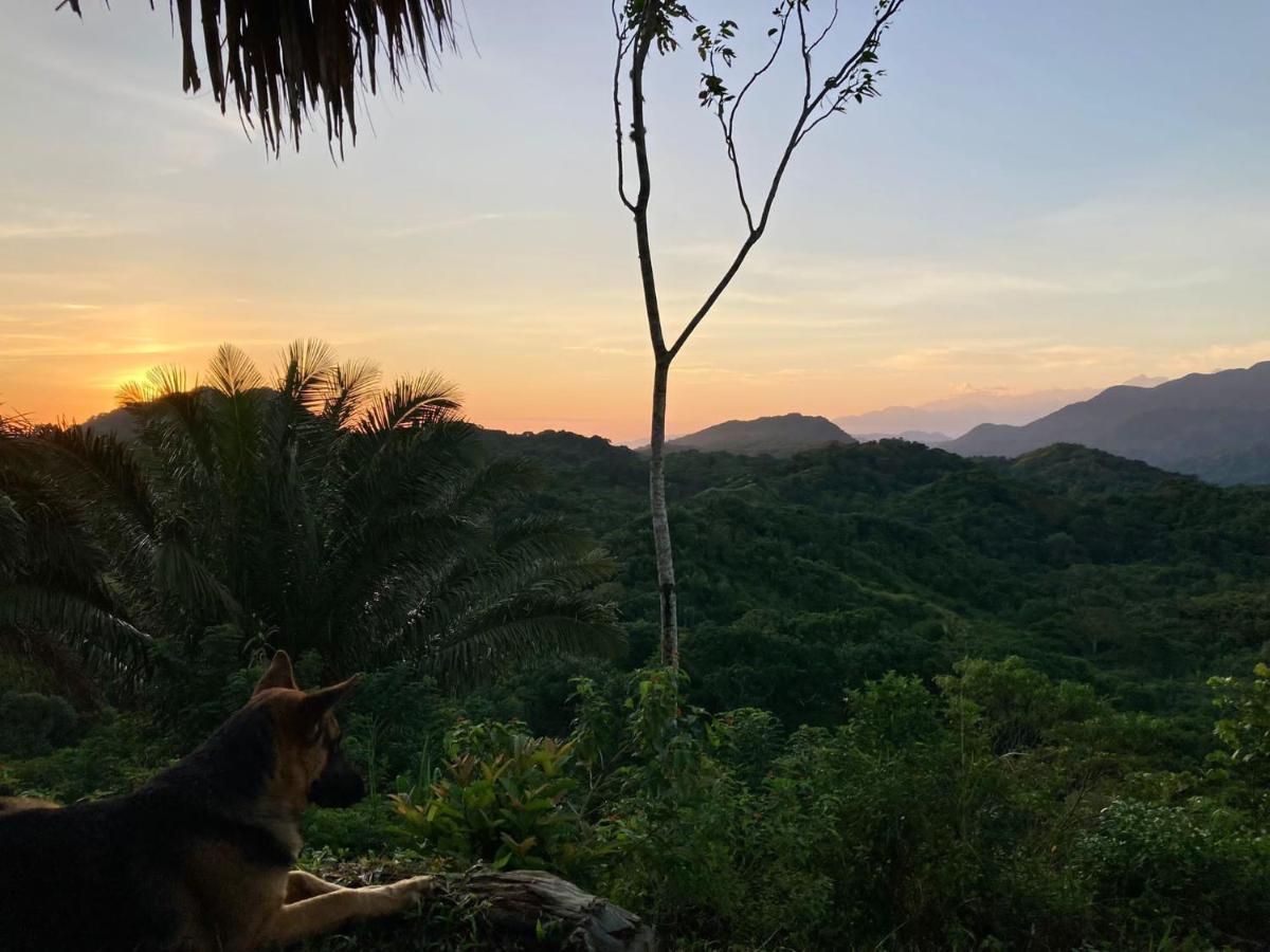 Отель La Cima Tayrona Санта-Марта Экстерьер фото