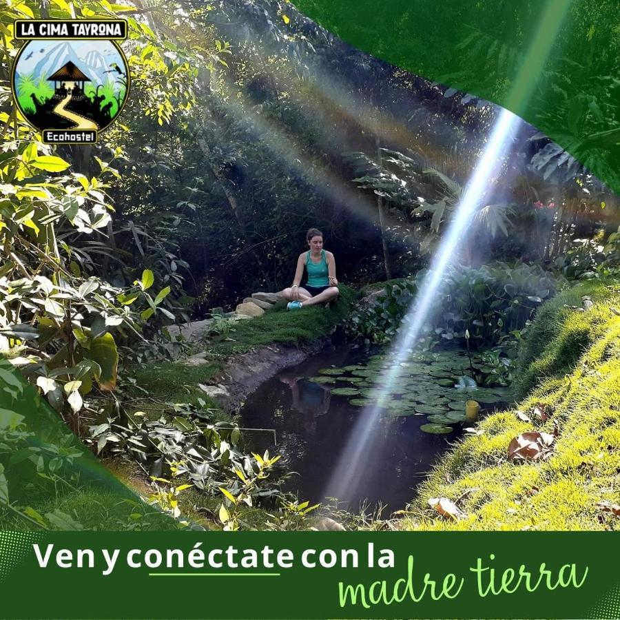 Отель La Cima Tayrona Санта-Марта Экстерьер фото